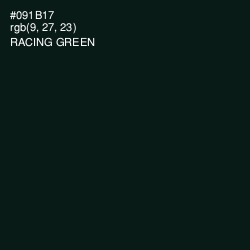 #091B17 - Racing Green Color Image